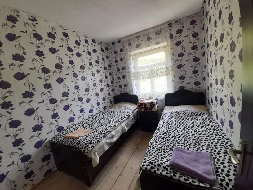 Guesthouse Lika Ushguli Bagian luar foto