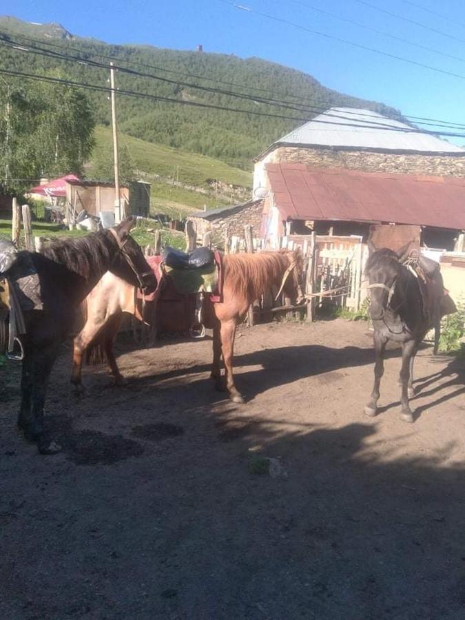 Guesthouse Lika Ushguli Bagian luar foto